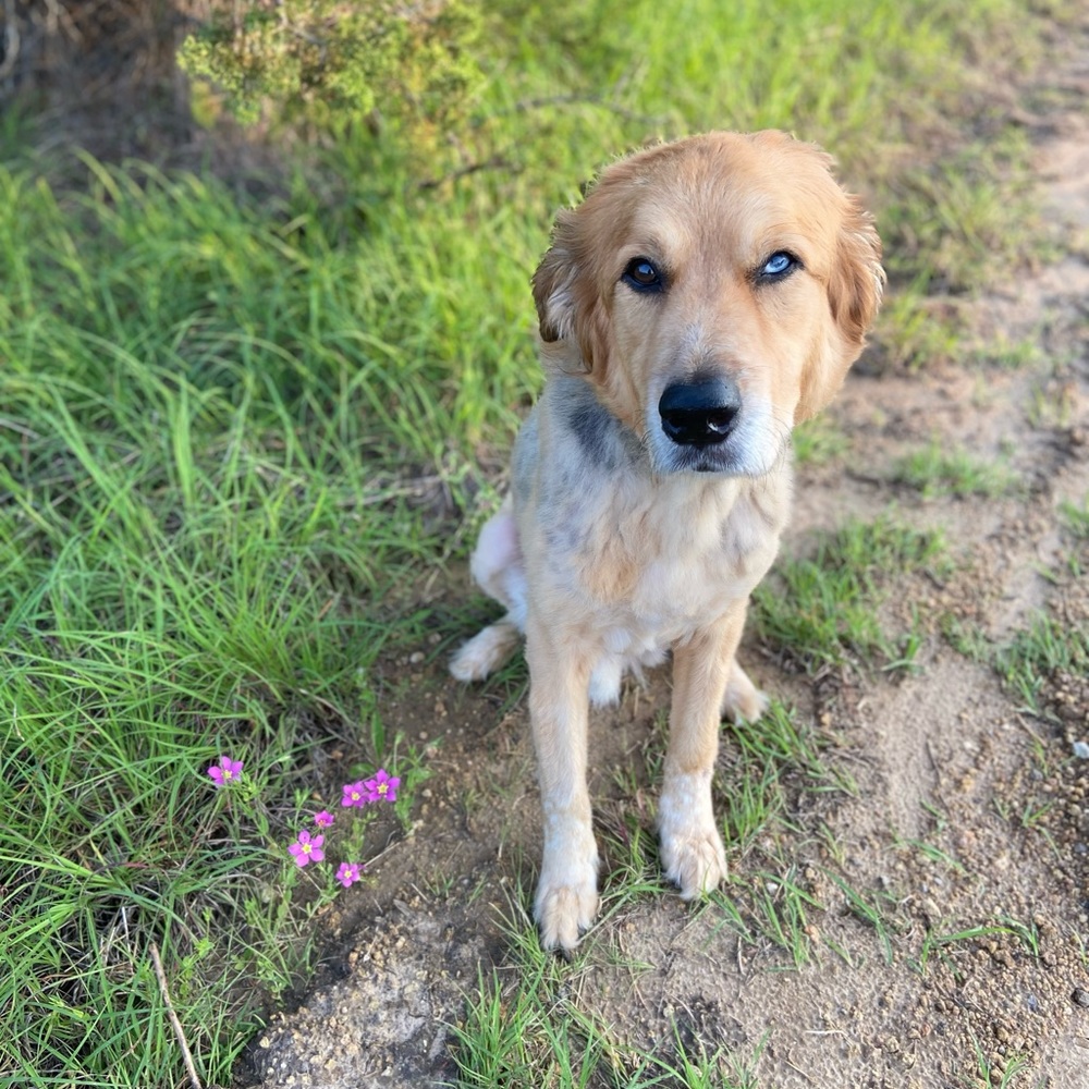 Meet your Posher, Lily